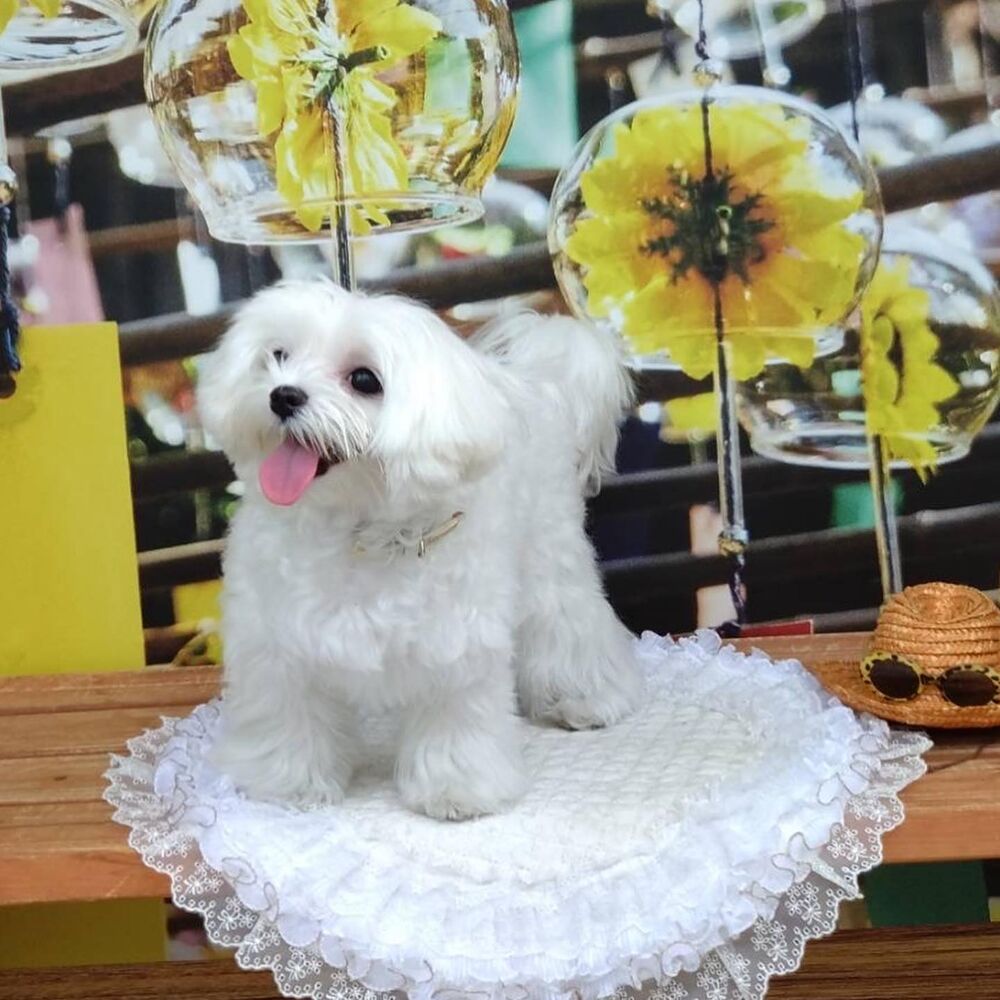 画像18461
