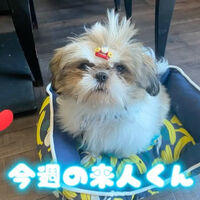画像18502