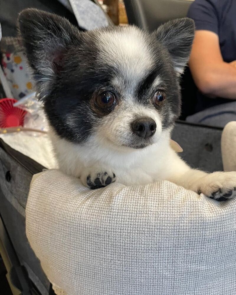 画像18542