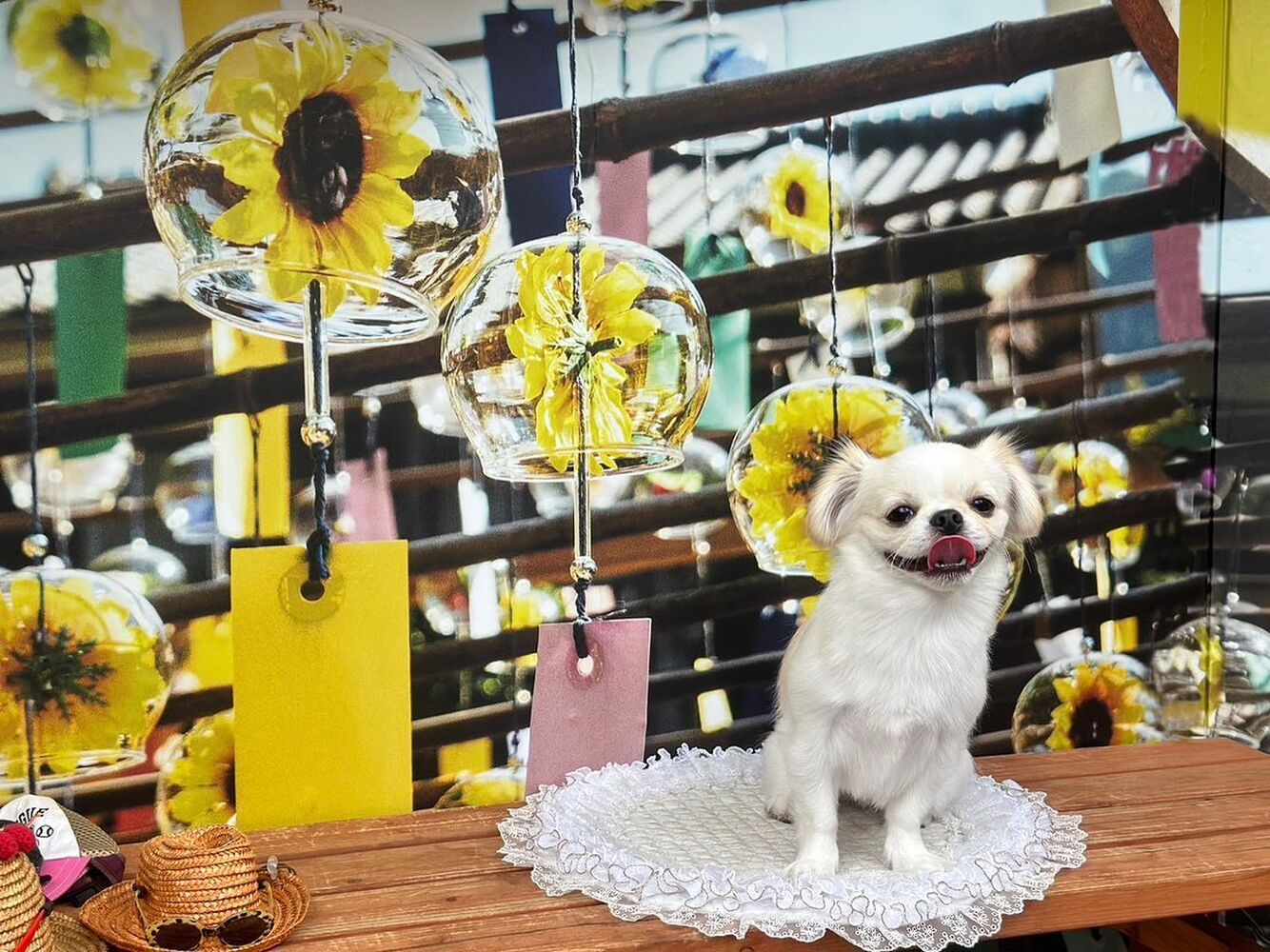 画像18617