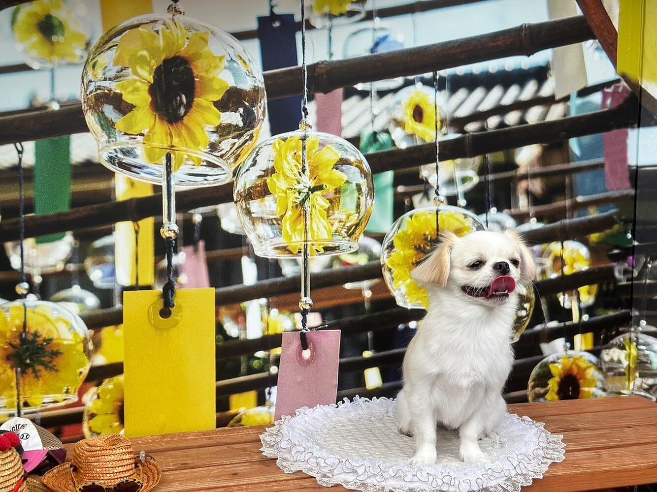 画像18618