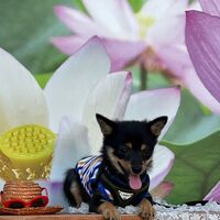 画像20064