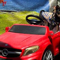 画像20069