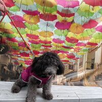 画像20191