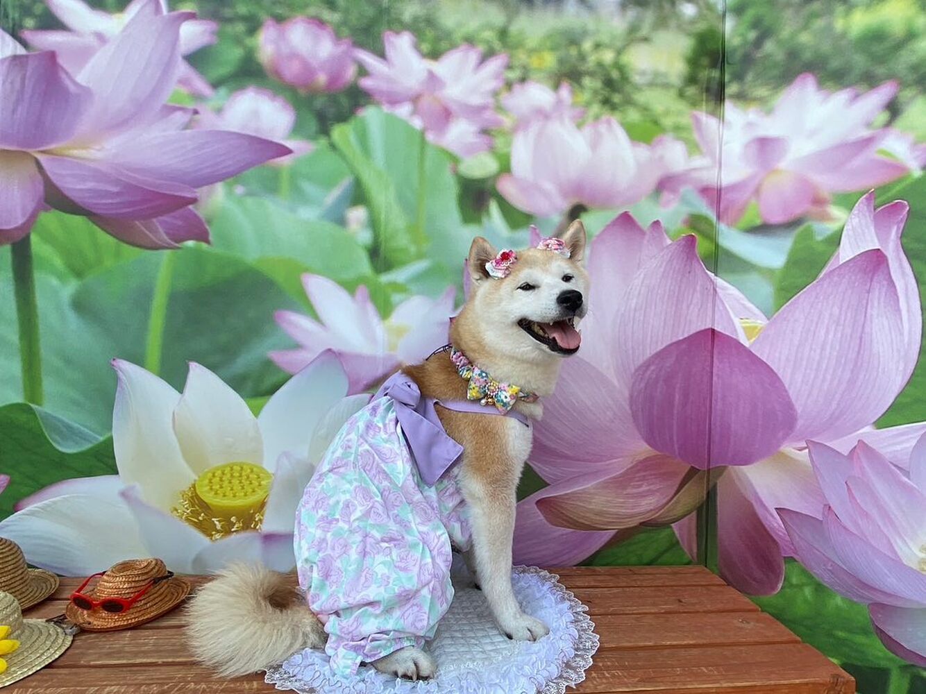 画像20905
