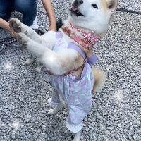 画像20908