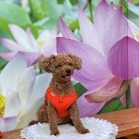 画像20945