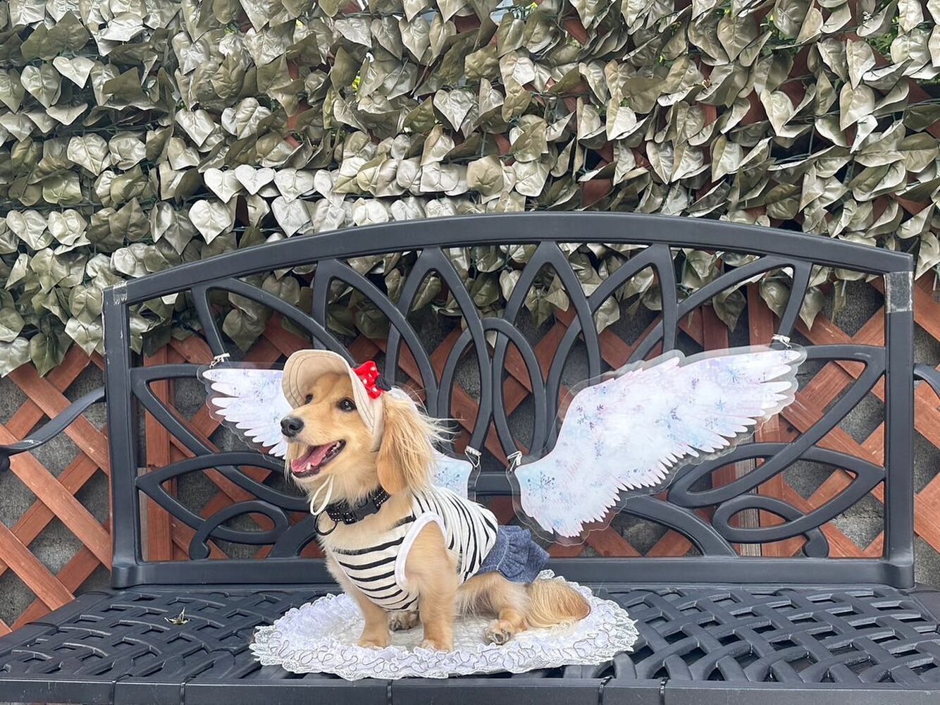 画像21239