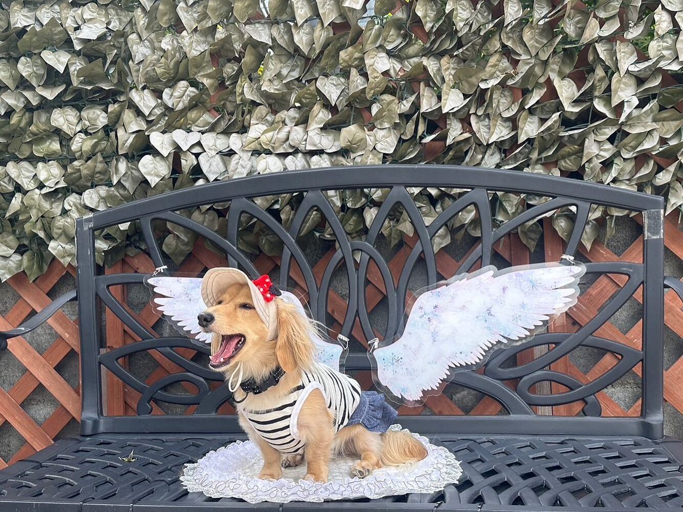 画像21240