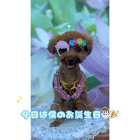 画像21295