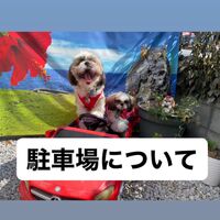 画像22035