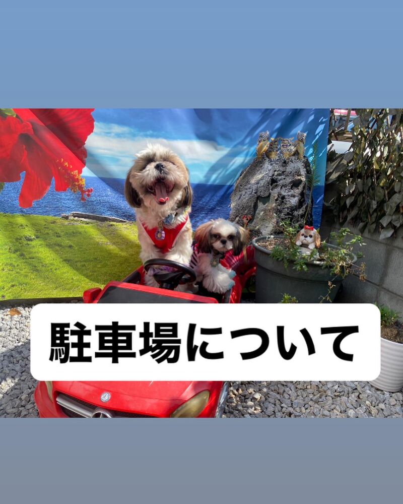 画像22035