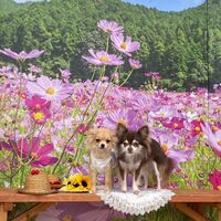 画像22104