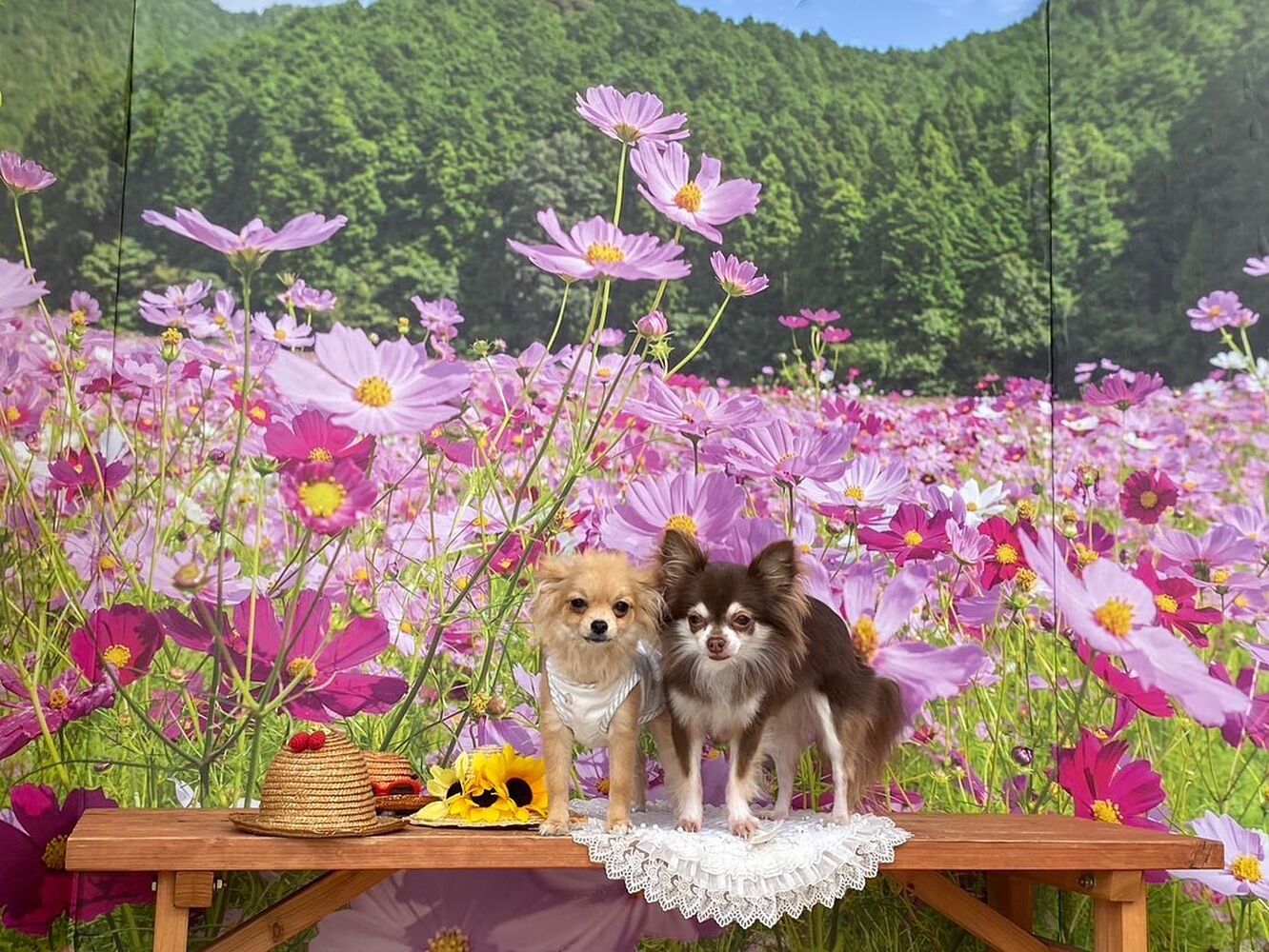 画像22104