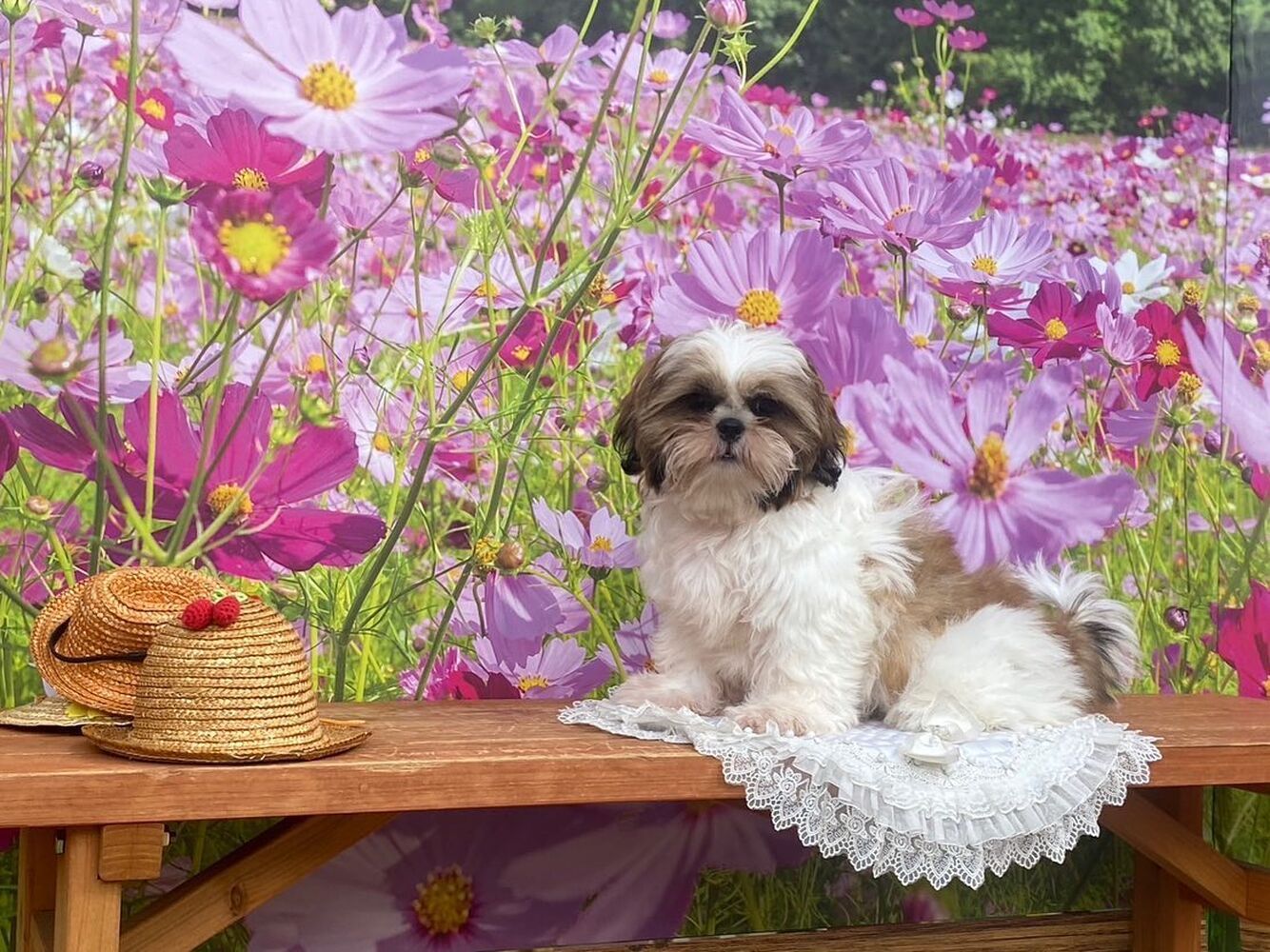 画像22128