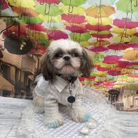 画像22148