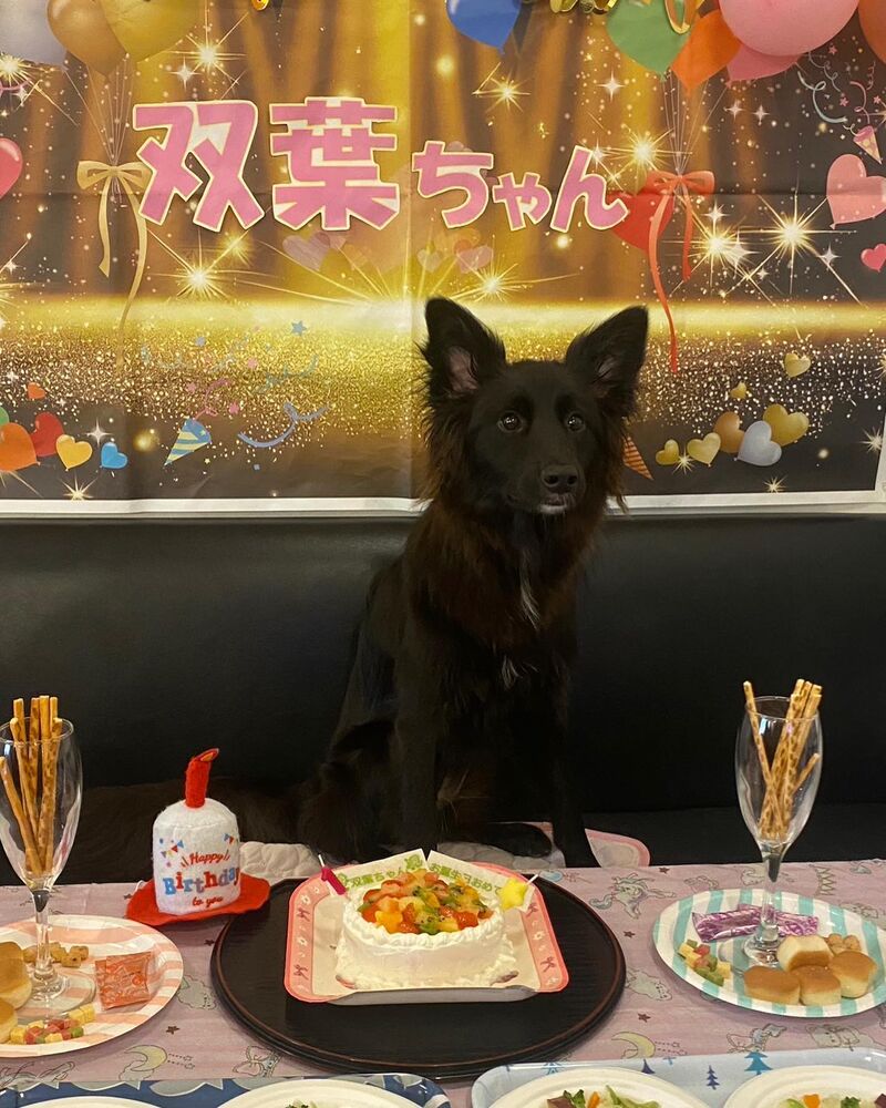 画像22165
