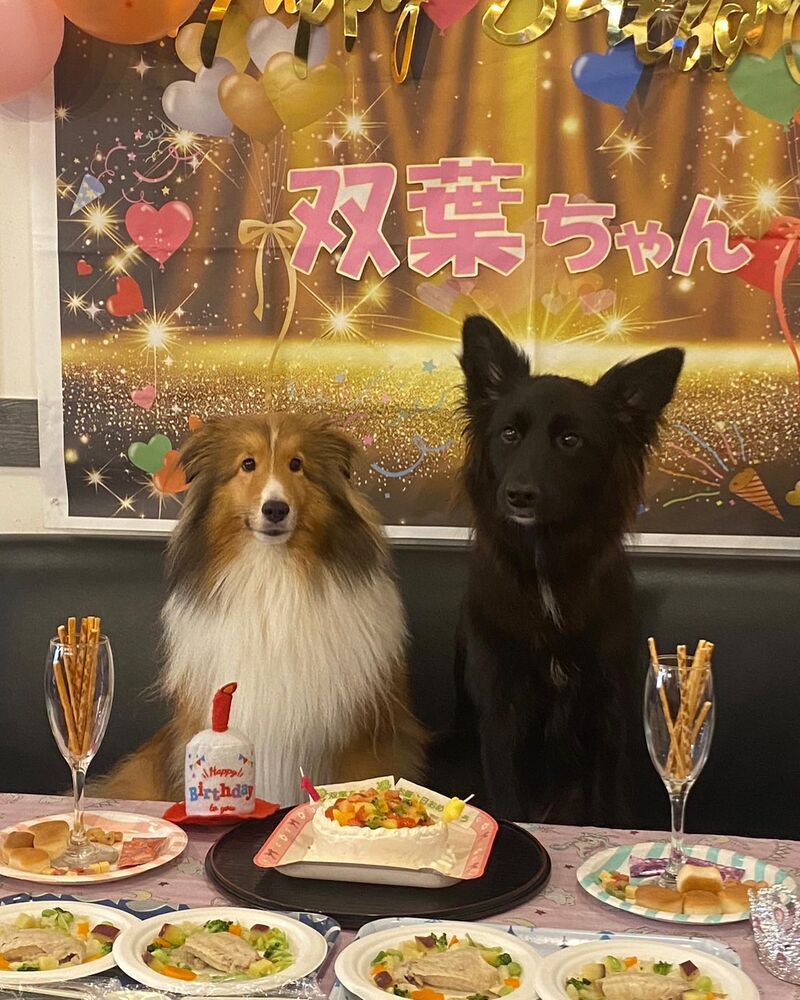 画像22166