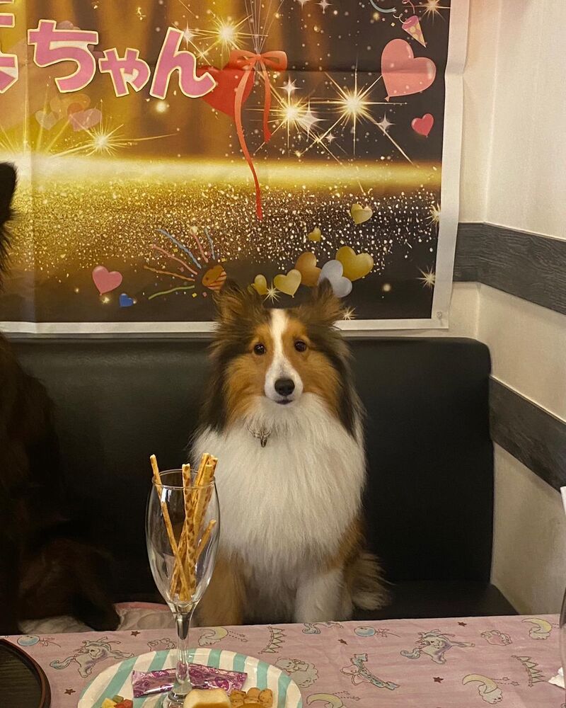 画像22167