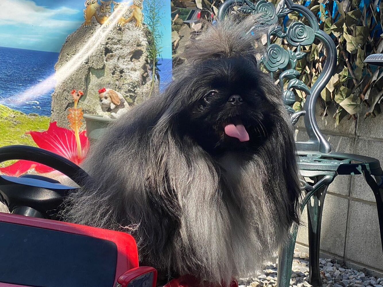 画像22277