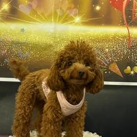 画像22338