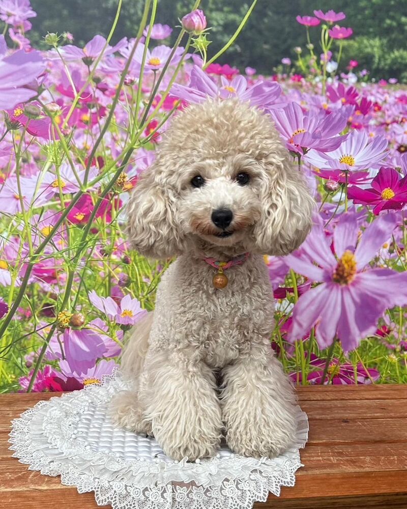 画像22348