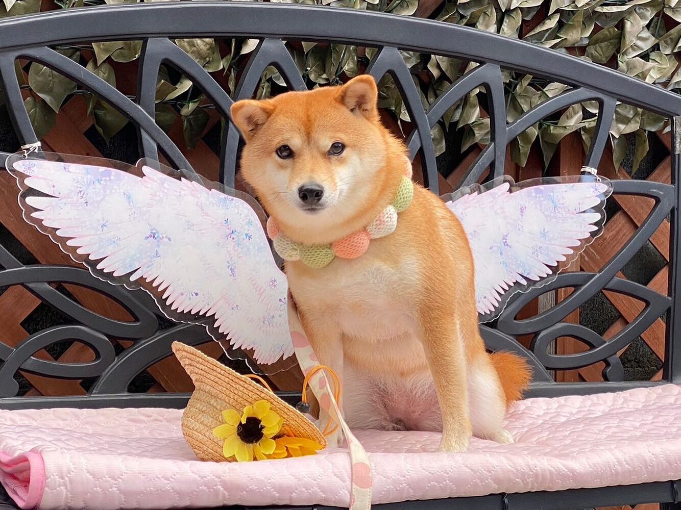 画像22510