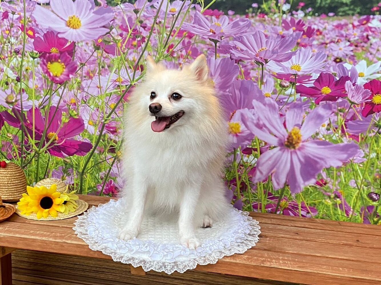 画像22553