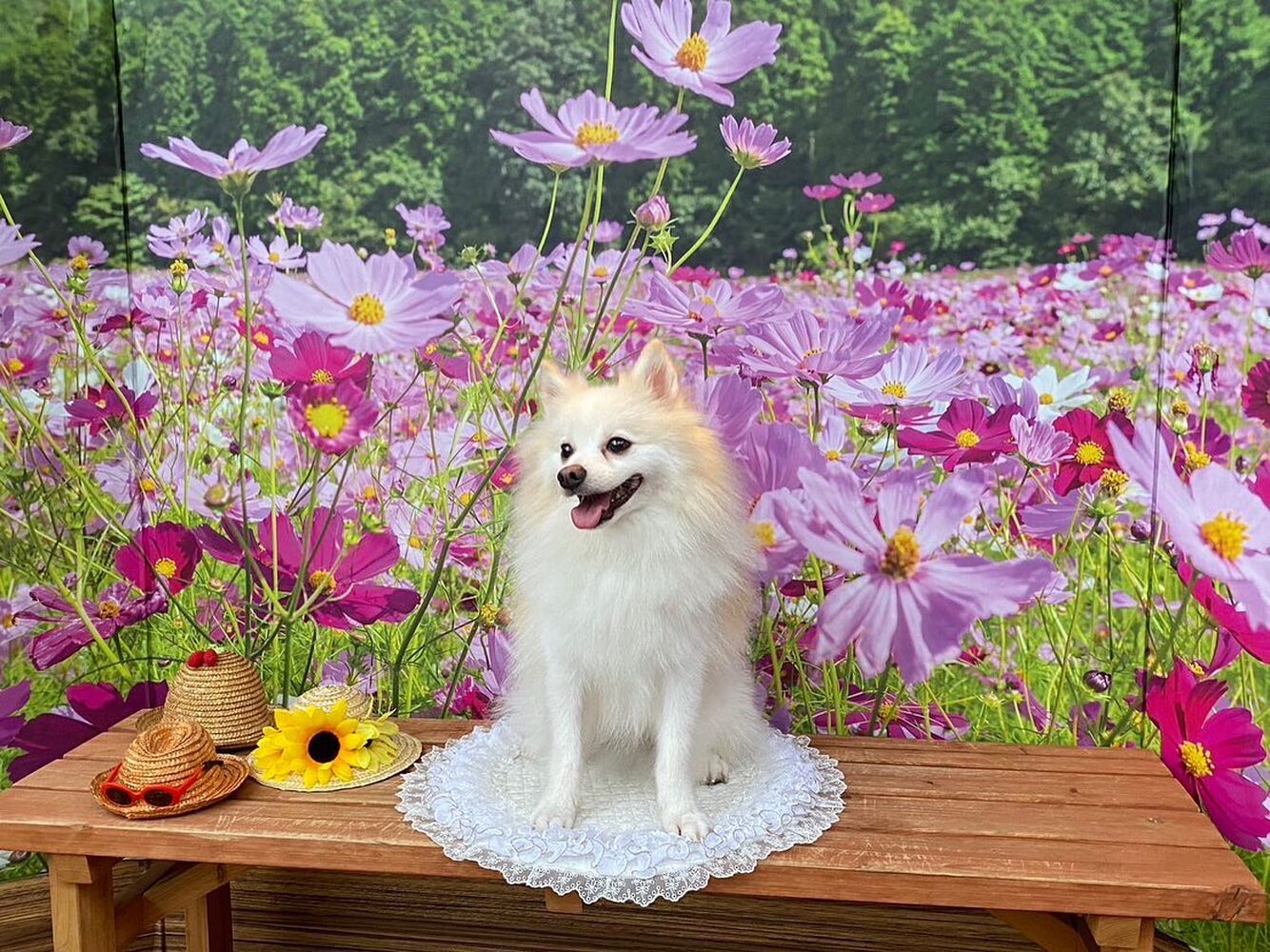 画像22554