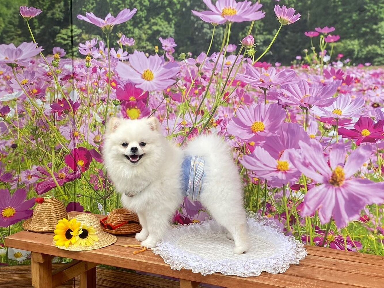 画像22574