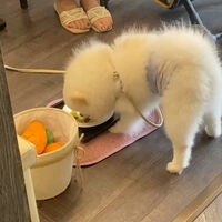 画像22583