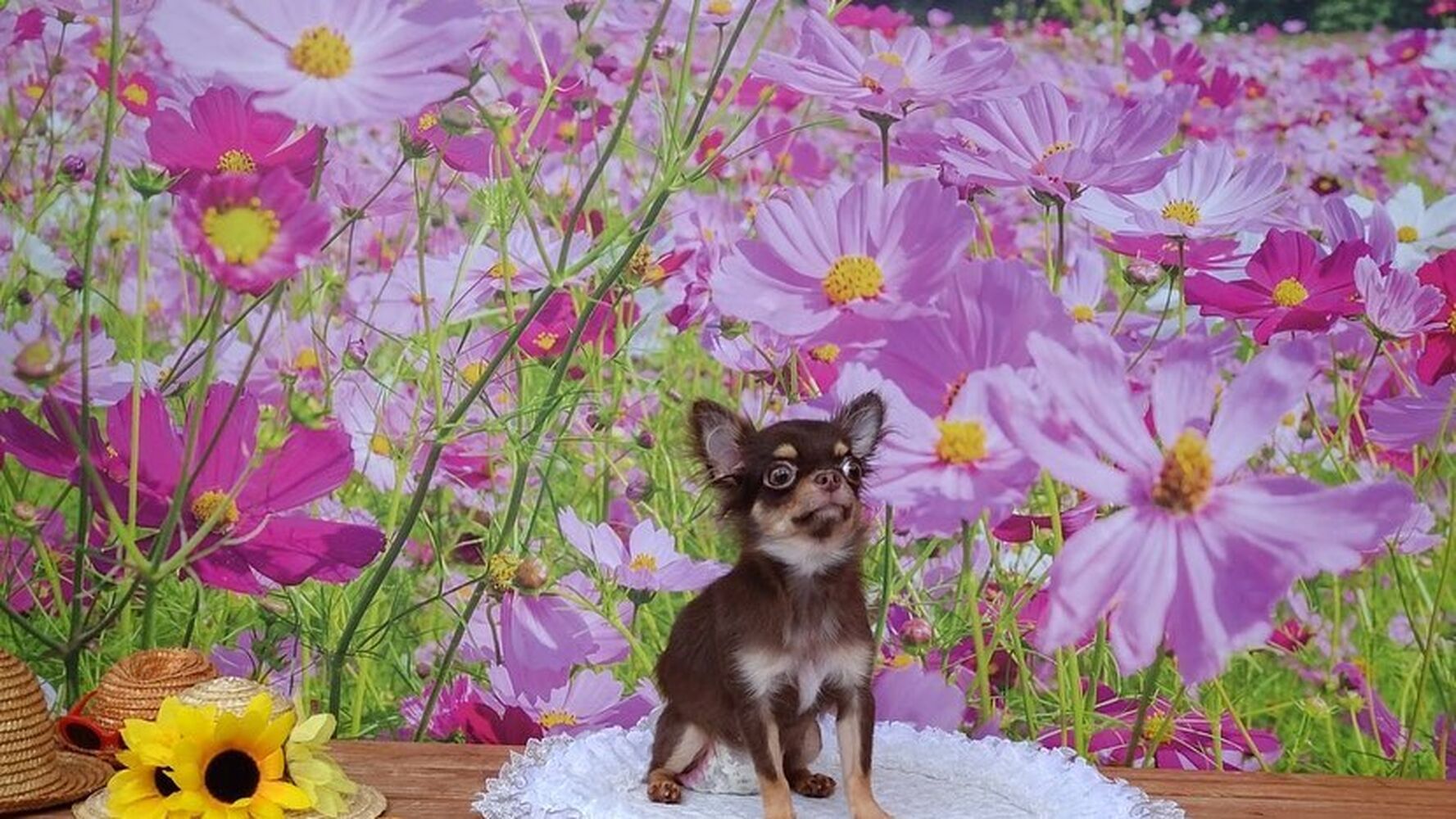 画像22602
