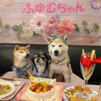 画像22704