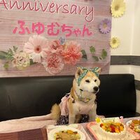 画像22705