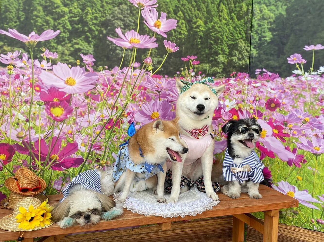 画像22712