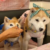 画像22713
