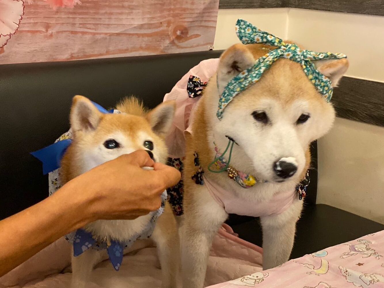 画像22713
