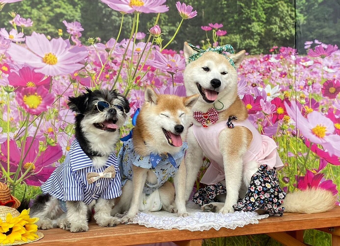 画像22722