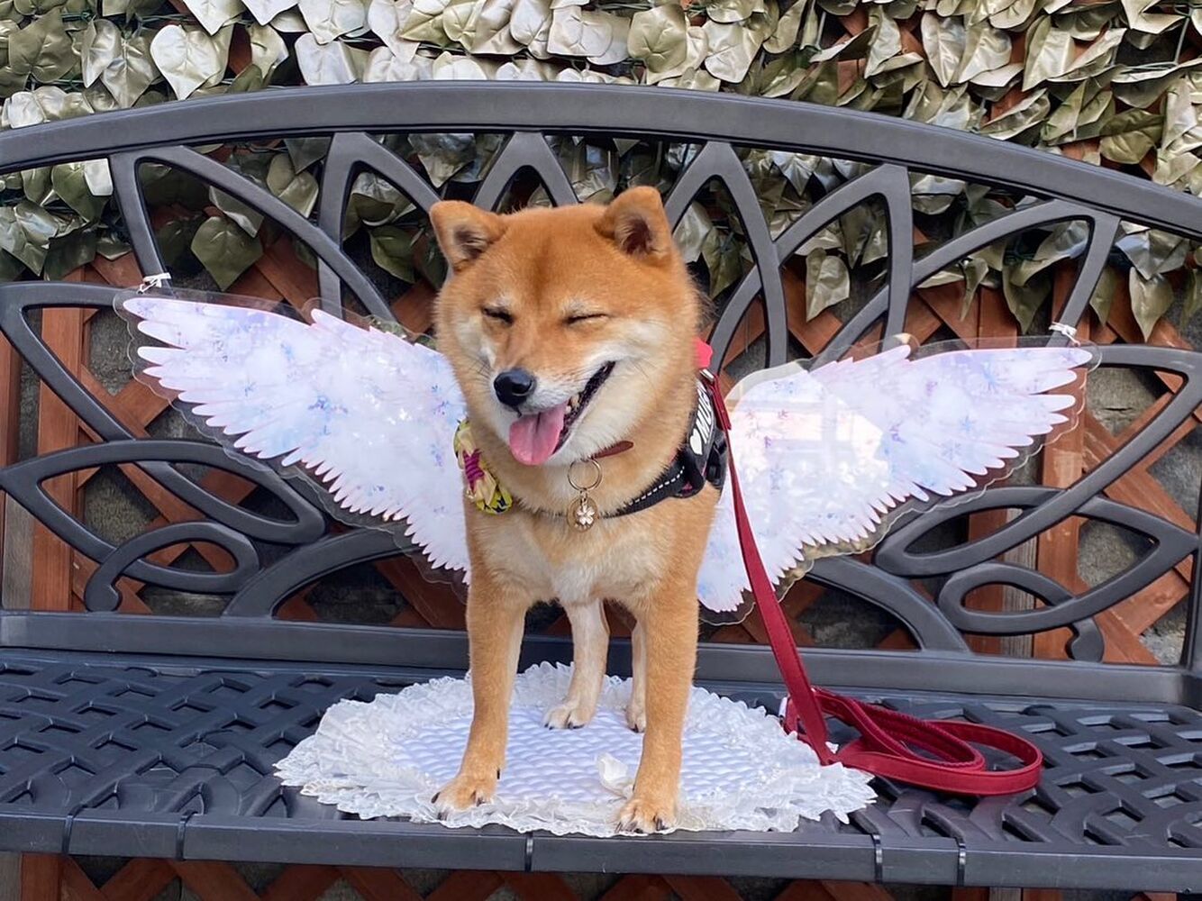 画像22786