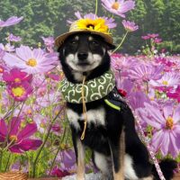 画像22930