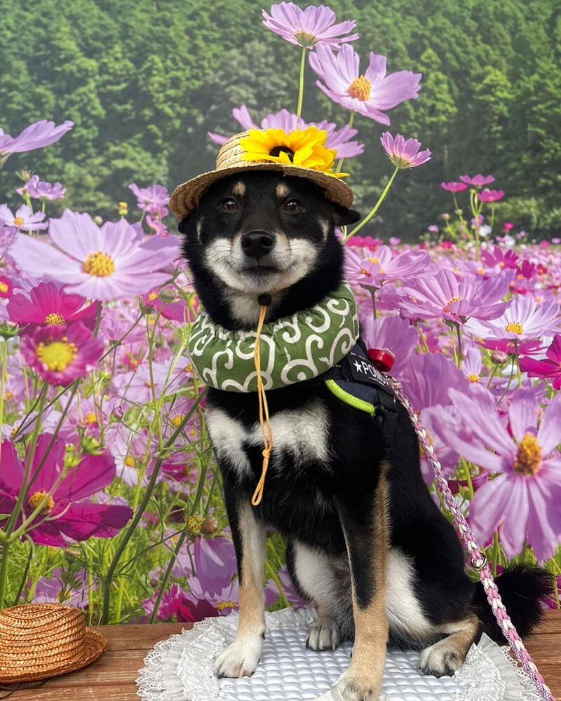 画像22930