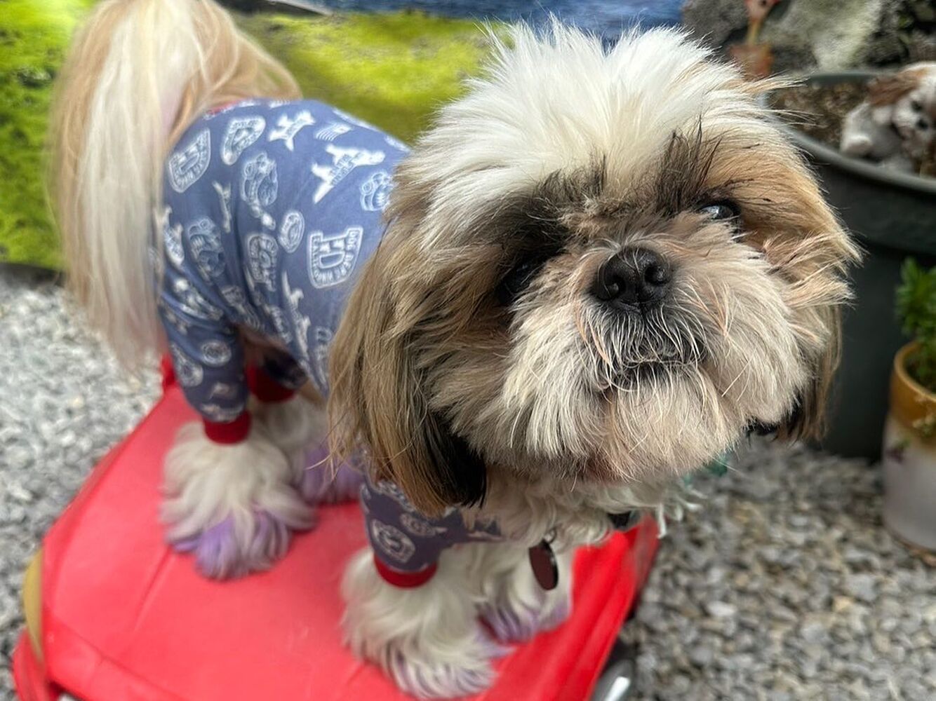 画像23017