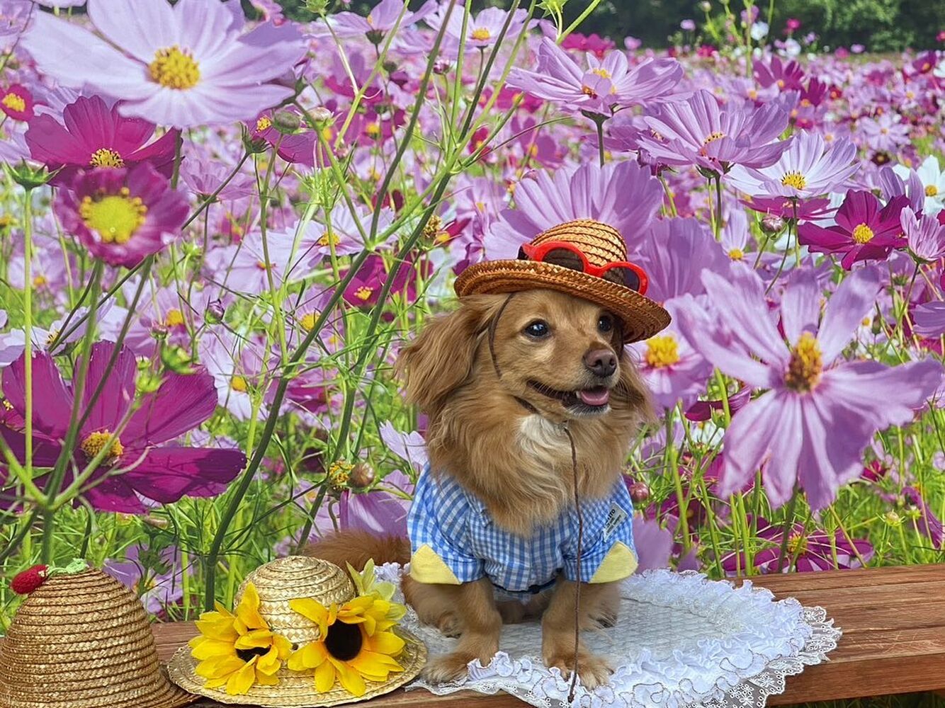 画像23222