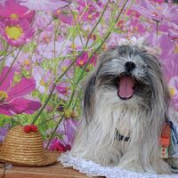 画像23325