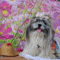 画像23330