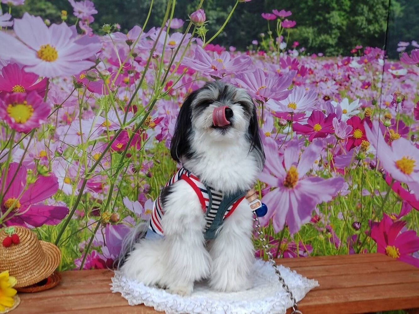 画像23367