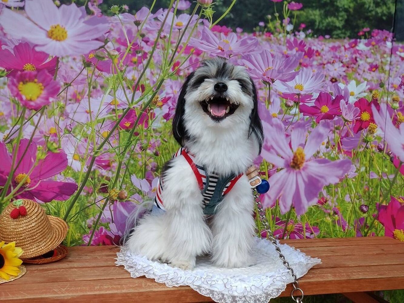 画像23371