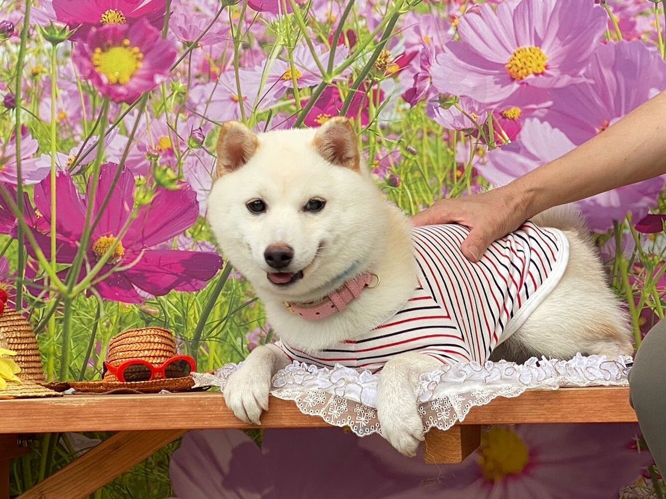 画像23373
