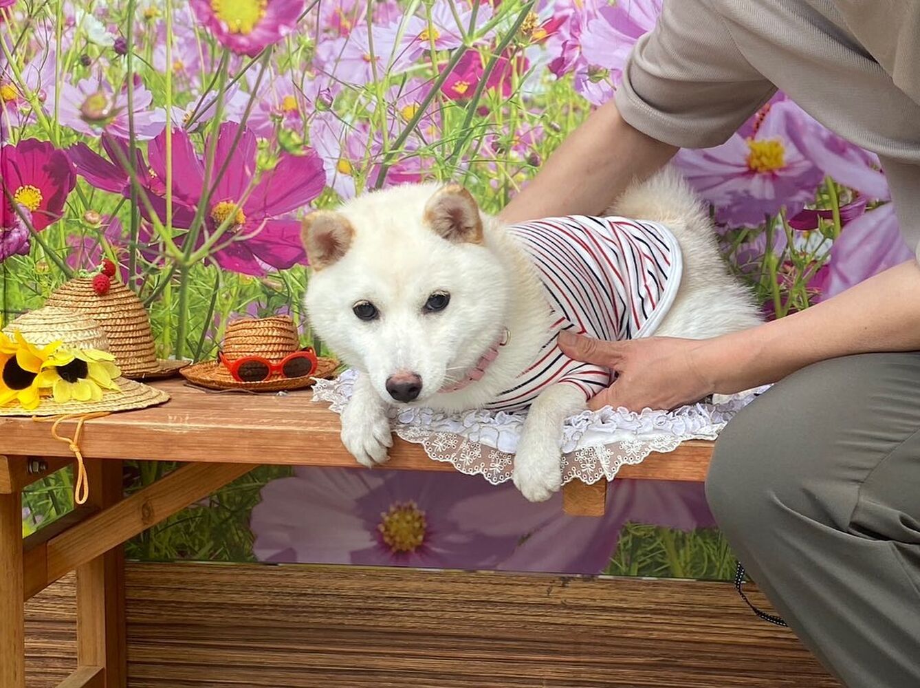 画像23375