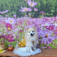 画像23432